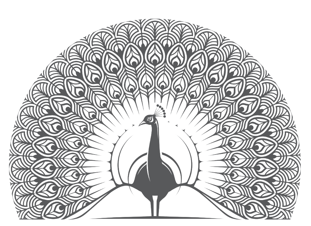 Image Text Row Image